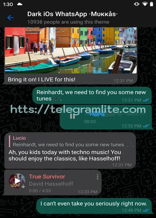 Theme Dark Ios Whatsapp
