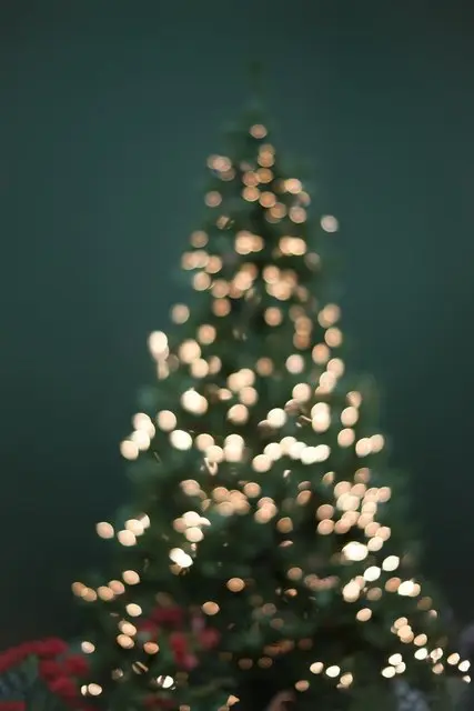 Merry Christmas Wallpaper