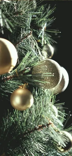Merry Christmas Wallpaper