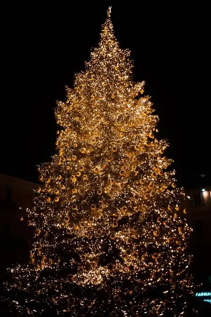 Merry Christmas Wallpaper