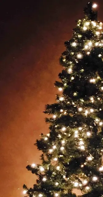 Merry Christmas Wallpaper