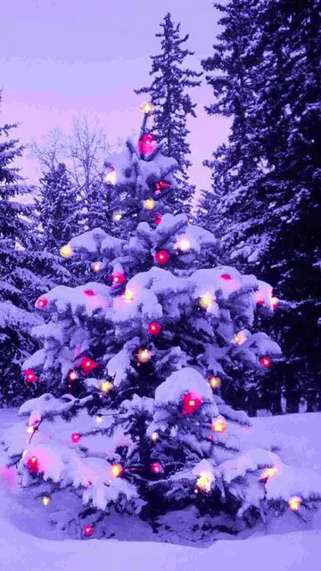 Merry Christmas Wallpaper