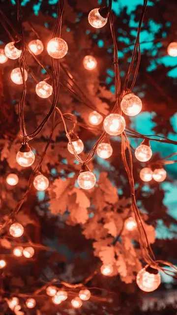 Merry Christmas Wallpaper