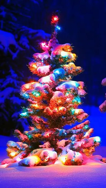 Merry Christmas Wallpaper