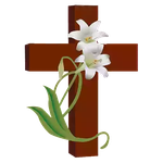 Cross collection