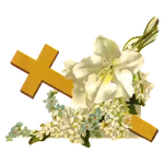 Cross collection