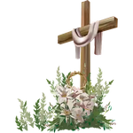 Cross collection