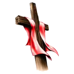 Cross collection
