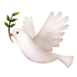 Pray sticker