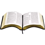 Holy bible