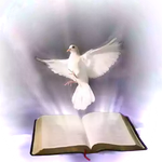 Holy bible