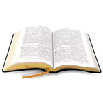 Holy bible