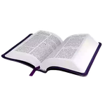 Holy bible