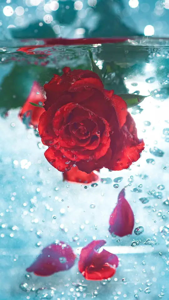 Love Wallpaper