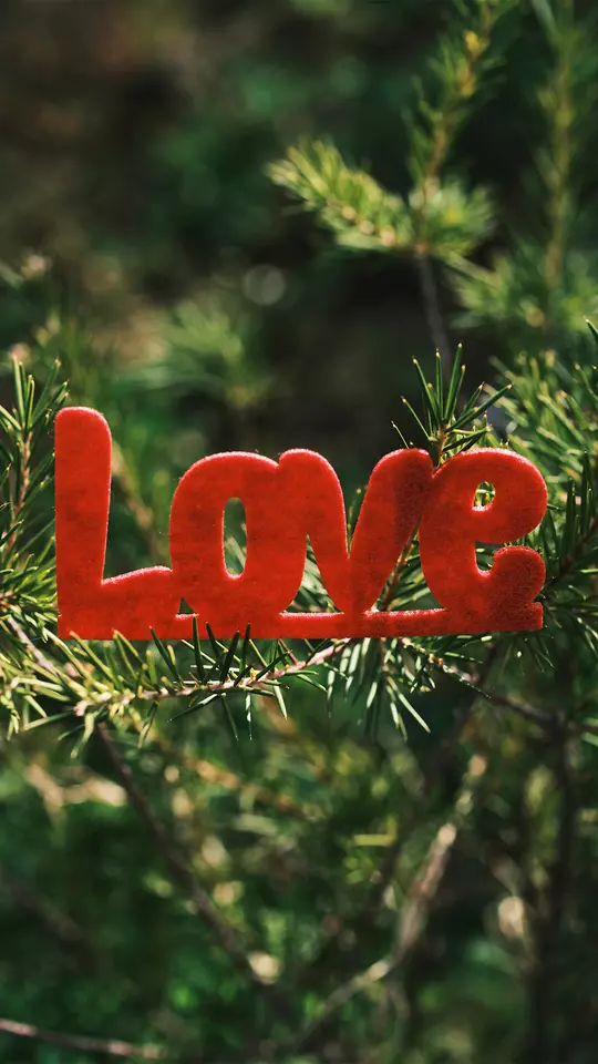 Love Wallpaper