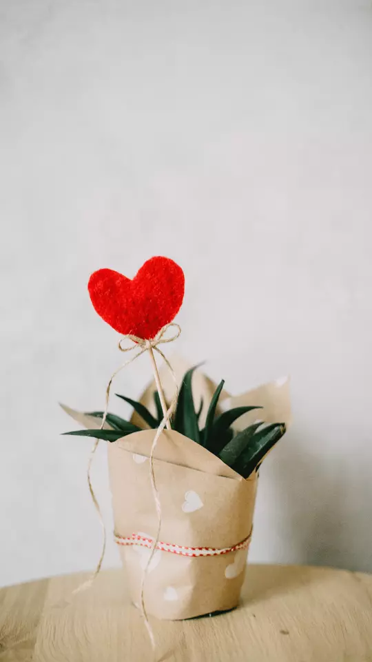 Love Wallpaper