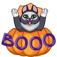 Sticker Memes With Cats