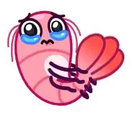 Sticker Fresh Shrimp