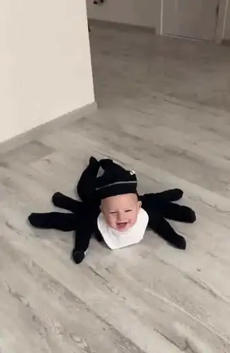 Sticker Cat Move