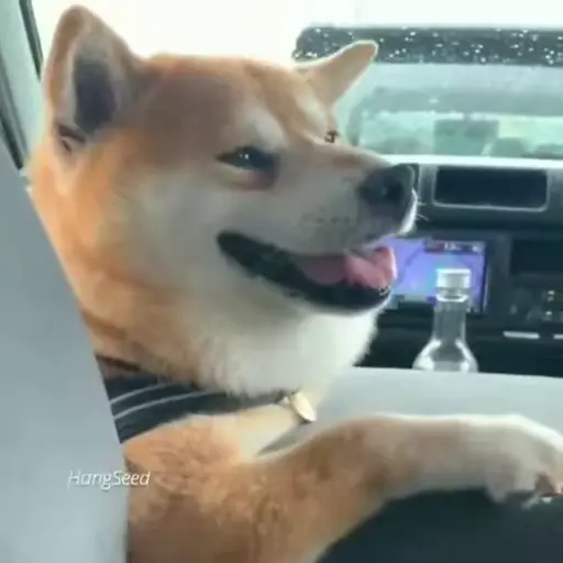 Sticker Shiba Inu