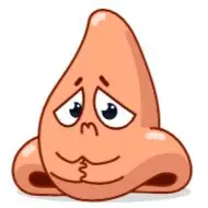 Sticker Human Organs
