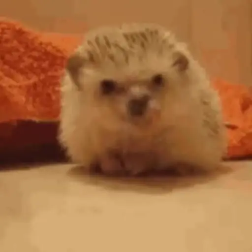 Sticker Hedgehogs