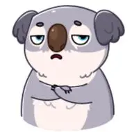 Sticker Kozy Koala