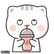 Sticker Cat So Cute