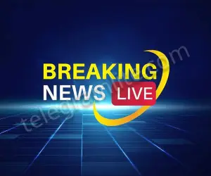 News and Media