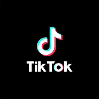 Tik Tok Downloader🎵🎬