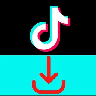 TikTok Downloader