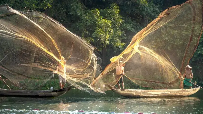 Aquaculture 