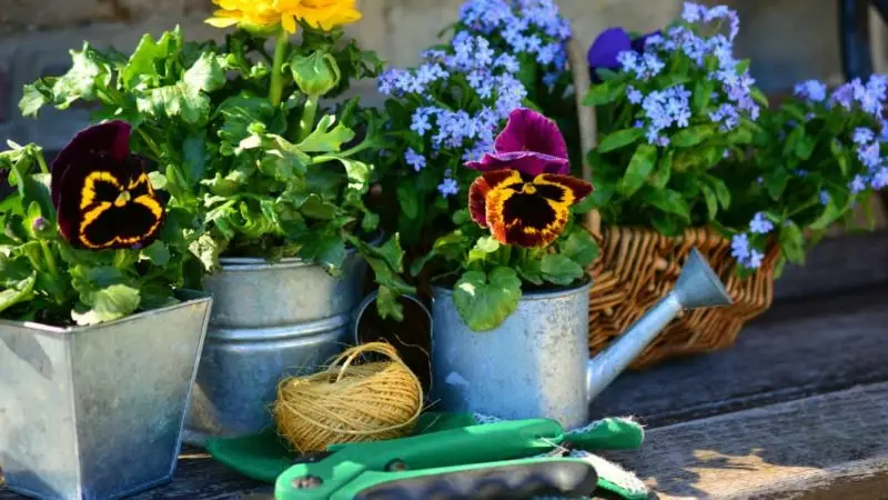 Gardener 