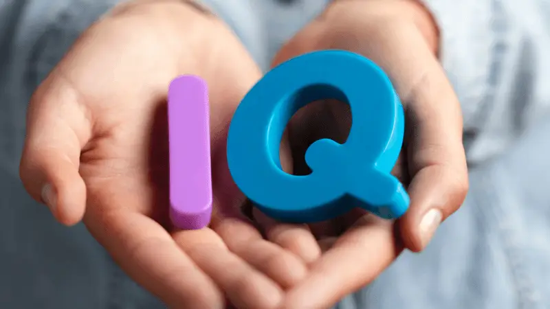 Iq 