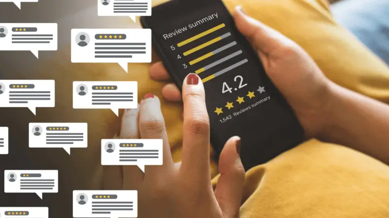 Reviews 