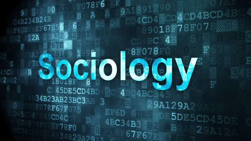 Sociology 