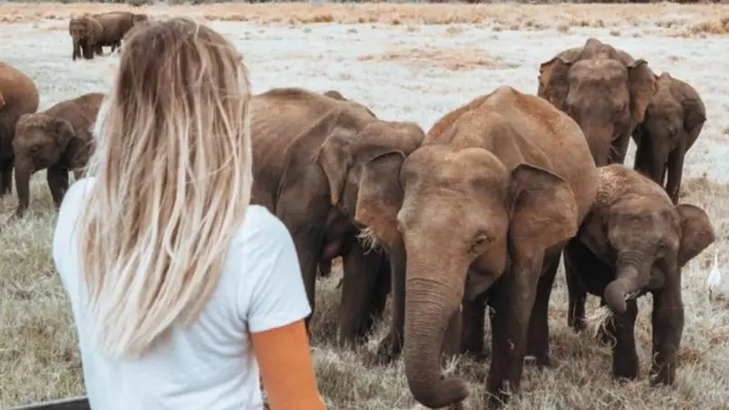 South Africa 