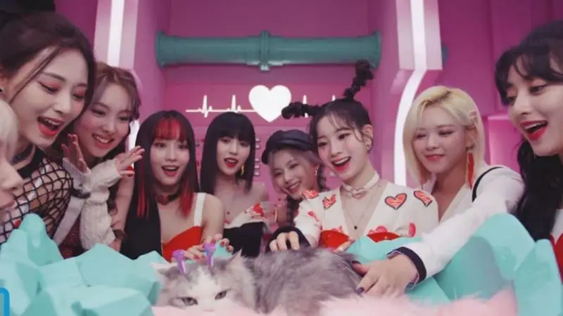 Twice Fans 