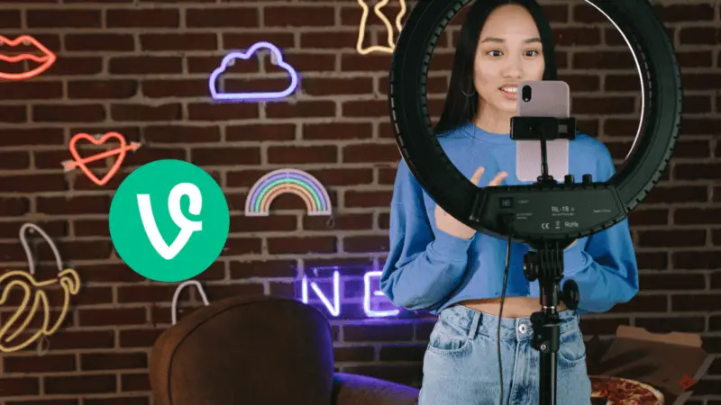 Vine 