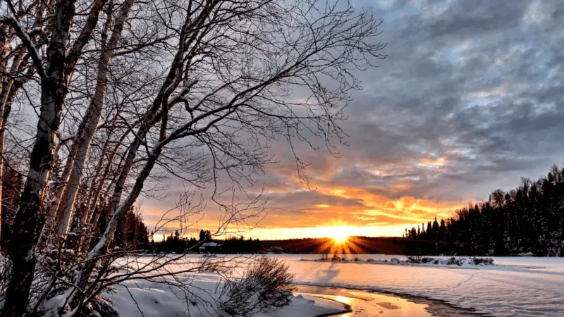 Winter 