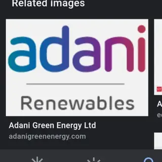 Adani Green &amp  Other Adani Group Investor Group