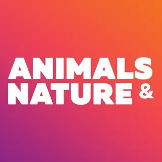 Animals &amp  Nature - Beautiful Wallpapers