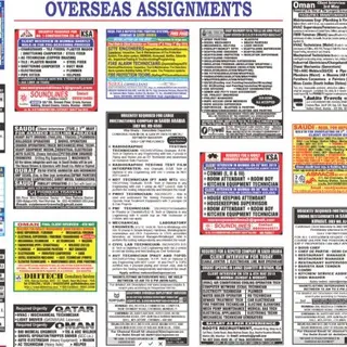 Assignment Abroad Times