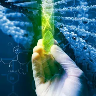 Bio Webinars  Conferences And Workshops