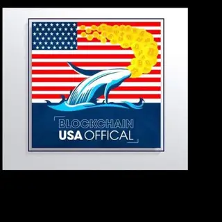 Blockchain Usa Official (binance)