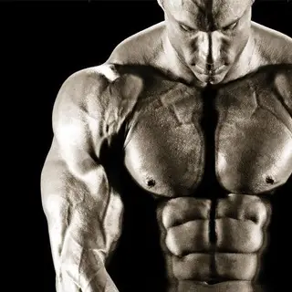 Bodybuilding &amp  Fitness Books Ebooks