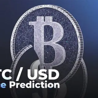 Btcusd Account Management