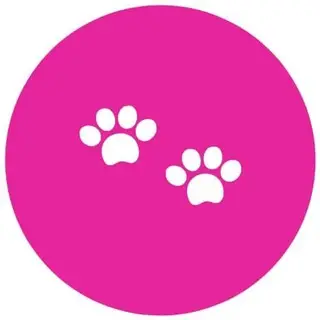 Cats Exchange
