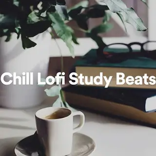 Chill Lofi Study Beats