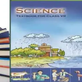 Class 7th Science Social Science Cbse Hbse Ncert